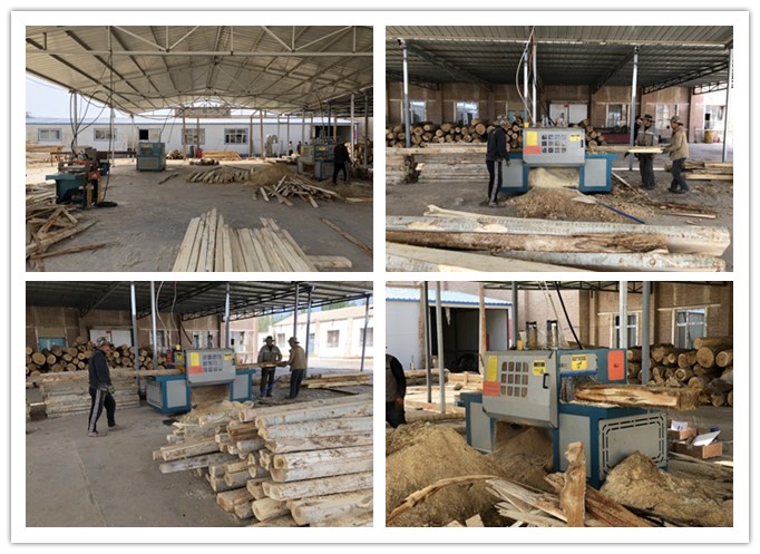 新疆哈密市--雙排鏈原木多片鋸、方木多片鋸、清邊機(jī)加工楊木現(xiàn)場