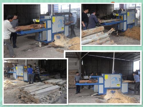 廣東-中山-鋸桉木25原木多片鋸加工現(xiàn)場