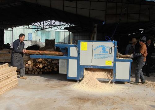 廣東-中山市-圓木多片鋸加工現(xiàn)場0