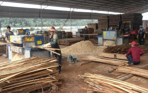 海南島-方木多片鋸加工現場0
