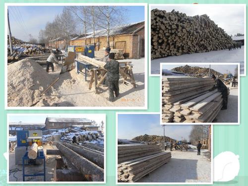 產品名稱：黑龍江伊春新青區-鋸洛葉松-350原木多片鋸-加工現場