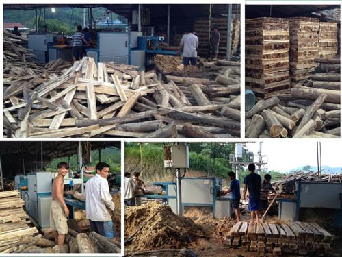 圓木多片鋸-越南-廣寧省-先安250型機(jī)加工現(xiàn)場