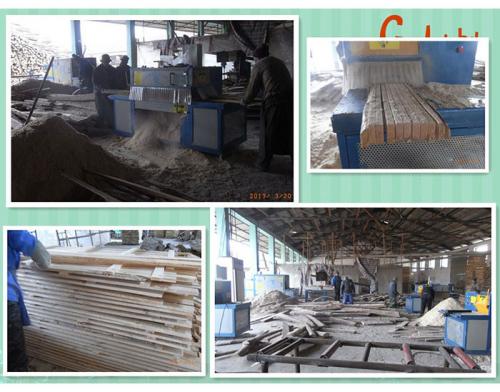 吉林梅河口-方木70高多片鋸加工現場