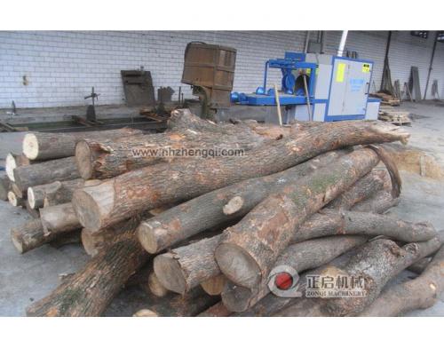 四川雙流香樟樹(shù)25加工現(xiàn)場(chǎng)