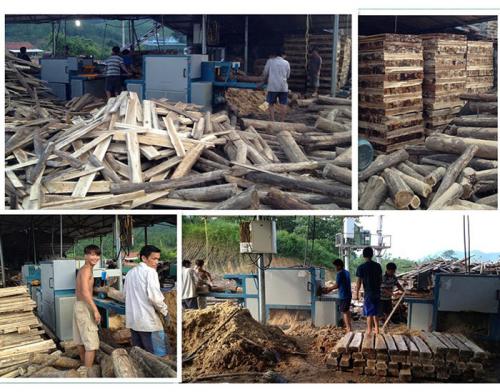 圓木多片鋸-越南-廣寧省-先安250型機加工現場